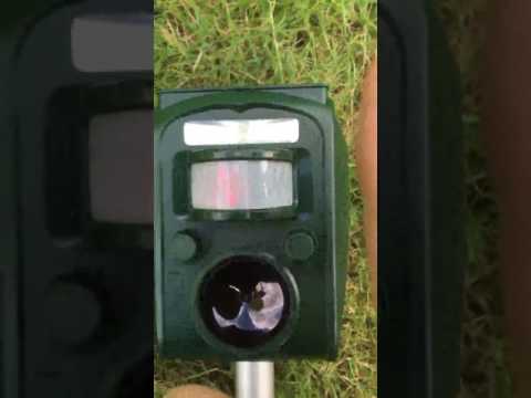 Solar Katzenschreck Ultraschall Tiervertreiber Vogelschreck Wasserdicht Hundeschreck, Katzenklo Vert