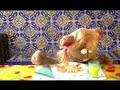 31 minutos - Carmencita - Guacala