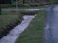 DItches are full!