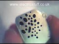 Ferrofluid - static field 3