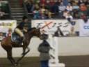 Hot n Cold horses Hot n Cold horses