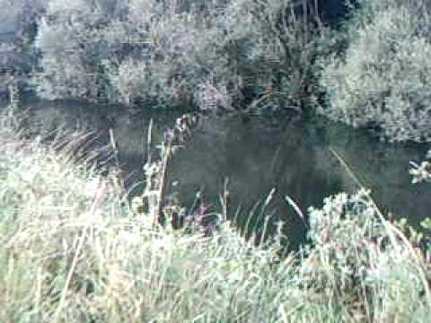 Natuur Plezier YouTube voorvertoningsafbeelding