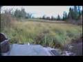 Argo on Supertracks and Muskeg Creeks