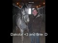 Horse Love Compilation