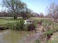 Boggers wont go where cattails grow, but IROKS will.