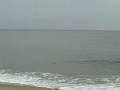 Dolphins and Law of Attraction Man in Rush hour Monday Morning