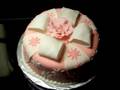 videos de Wilton Cake Decorating Course - Fondant & Gum Paste