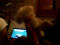 videos de Erica y Coqui