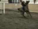 Hopptr�ning, Sofia  Jupiter, 13/2 08