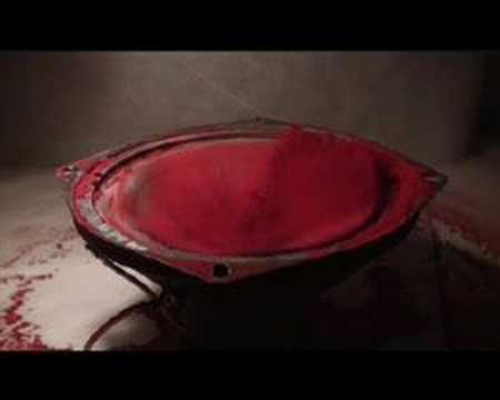 Life and Death of a Loudspeaker