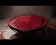 Life and Death of a Loudspeaker