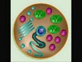 3 - The Origin of Life Made Easy