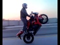 videos de cbr 1000 rr 2006 wheelie