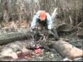 Grosse Ile Buck Fight