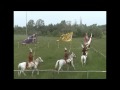 Hussar Joust Tournament 17th century Hungarian