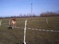 Sunny,Arbeit,im