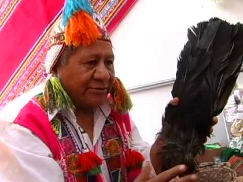 Pluma de Condor - Thumbnail