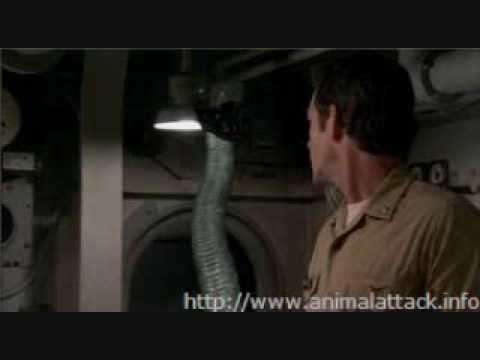 Silent Venom Full Movie