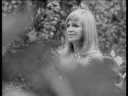 Hildegard Knef - Vergessener Sonnenhut im Gras Hildegard Knef - Vergessener Sonnenhut im Gras