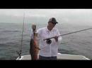 Panama fishing May 2008
