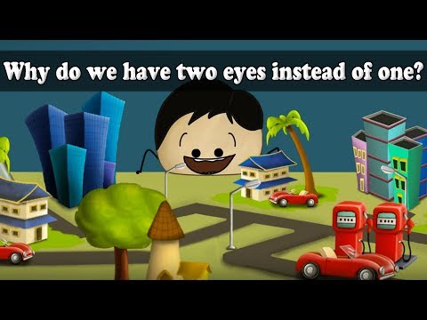 Why do we have two eyes instead of one? | #aumsum #kids #science #education #children - YouTube