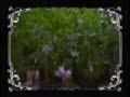 Blueberry Yum Yum by Ludacris