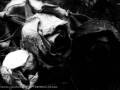 Bon Jovi - This Ain't A Love Song (lyrics traduzione)