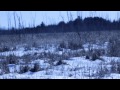 Into the Dead of Winter Trailer | 2013
