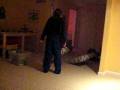 videos de butt heads