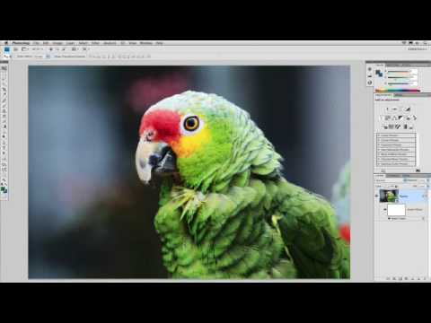 PHOTOSHOP FILTERS - Instructor Richard Harrington shows you how to combine filters with blending modes to achieve even more effects. Distributed by Tubemogul.