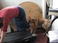 quin on treadmill