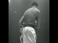 yet another tribute to sugar ray robinson, not made by me nonetheless is kick ass.