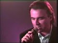 angel del amor-pedro pomares