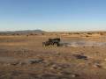 Teryx Test: DragonFire Racing Production UTV