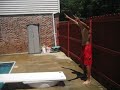 dolphin dive