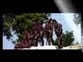 View Video