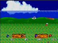 Super Smash Flash Hedghog battle