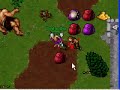 tibia berylia pk