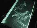 videos de Roots Multi Touch Tangible Installation Teaser