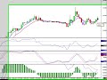 Cowabunga Forex Trading System - Update for 10/29/08