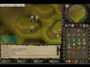 Owned Pking New and Improved! Owned Pking New and Improved!