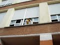 mambra desde su klase
