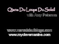 Qiana Du Loups Du Soleil Obedience w/ Distractions