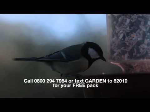 tombola bingo tombola bingo