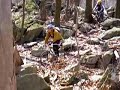 Michaux Rocky Ridge