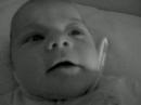 lauren cooing etc