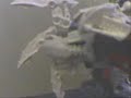 Ultra kurahk (rakshi)