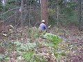 DSCN0036.MOV