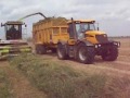 Silage 2007