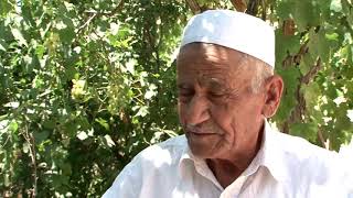 قطنة    تحاكي أبو غوش قطنة    تحاكي أبو غوش